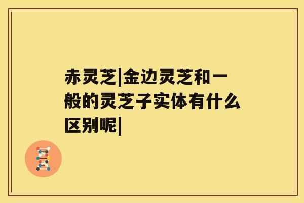 赤灵芝|金边灵芝和一般的灵芝子实体有什么区别呢| 赤灵芝|金边灵芝和一般的灵芝子实体有什么区别呢|