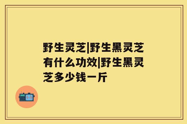 野生灵芝|野生黑灵芝有什么功效|野生黑灵芝多少钱一斤 野生灵芝|野生黑灵芝有什么功效|野生黑灵芝多少钱一斤