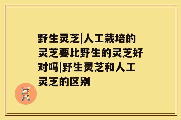 野生灵芝|人工栽培的灵芝要比野生的灵芝好对吗|野生灵芝和人工灵芝的区别 野生灵芝|人工栽培的灵芝要比野生的灵芝好对吗|野生灵芝和人工灵芝的区别
