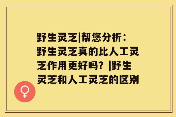 野生灵芝|帮您分析:野生灵芝真的比人工灵芝作用更好吗?|野生灵芝和人工灵芝的区别 野生灵芝|帮您分析:野生灵芝真的比人工灵芝作用更好吗?|野生灵芝和人工灵芝的区别
