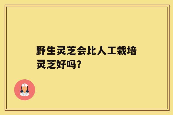 野生灵芝会比人工栽培灵芝好吗? 野生灵芝会比人工栽培灵芝好吗?