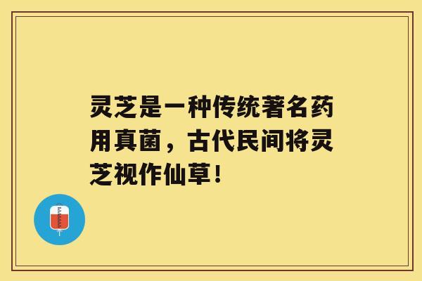 灵芝是一种传统著名药用真菌，古代民间将灵芝视作仙草！