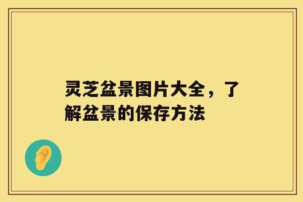 灵芝盆景图片大全，了解盆景的保存方法