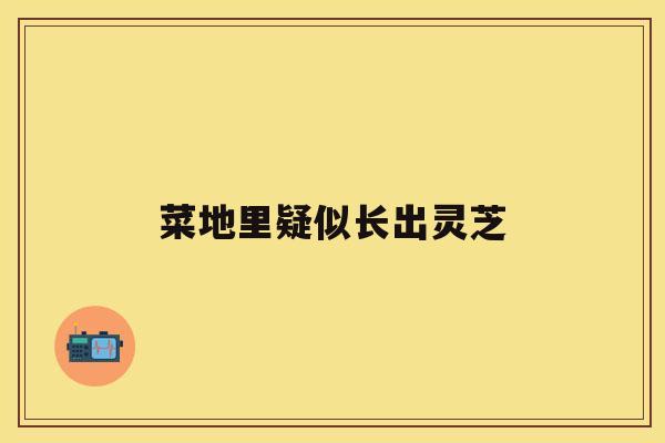 菜地里疑似长出灵芝 菜地里疑似长出灵芝