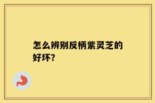 怎么辨别反柄紫灵芝的好坏? 怎么辨别反柄紫灵芝的好坏?