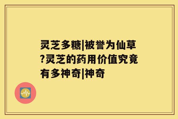 灵芝多糖|被誉为仙草?灵芝的药用价值究竟有多神奇|神奇