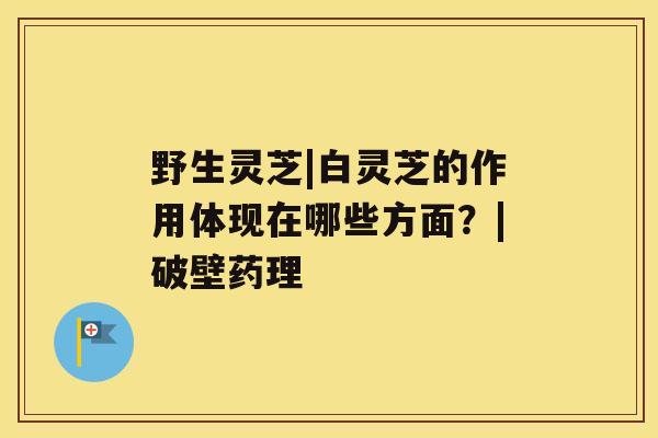 野生灵芝|白灵芝的作用体现在哪些方面？|破壁药理