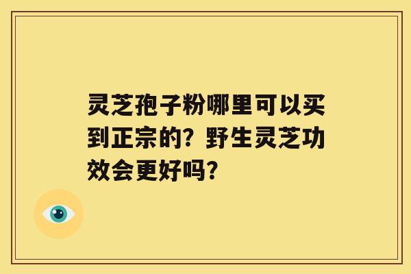 灵芝孢子粉哪里可以买到正宗的？野生灵芝功效会更好吗？