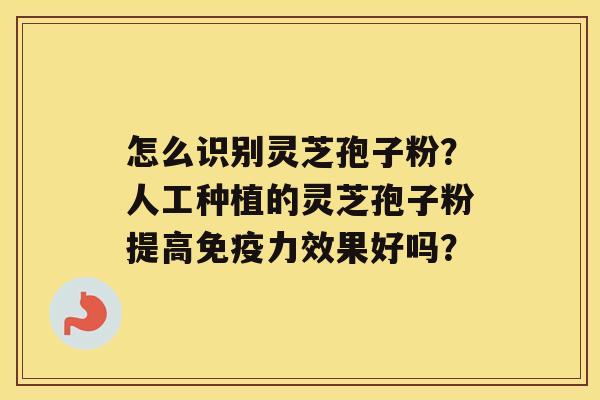 怎么识别灵芝孢子粉?人工种植的灵芝孢子粉提高免疫力效果好吗? 怎么识别灵芝孢子粉?人工种植的灵芝孢子粉提高免疫力效果好吗?