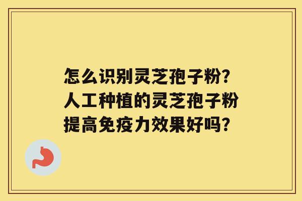 怎么识别灵芝孢子粉？人工种植的灵芝孢子粉提高免疫力效果好吗？