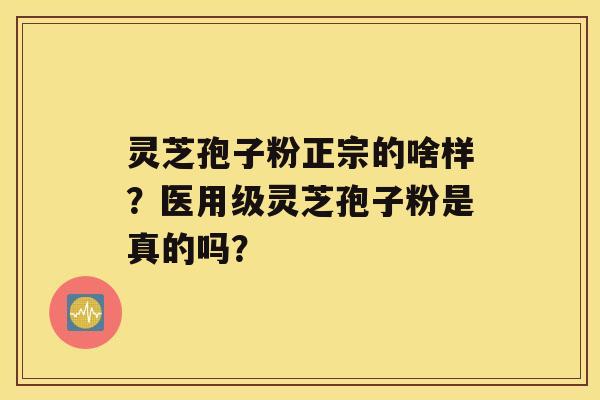 灵芝孢子粉正宗的啥样？医用级灵芝孢子粉是真的吗？