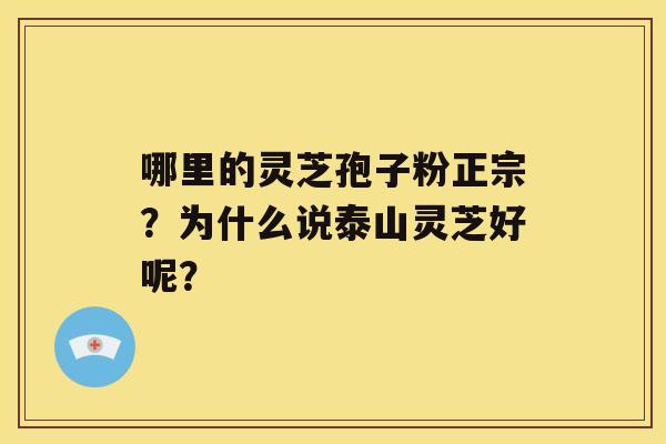 哪里的灵芝孢子粉正宗？为什么说泰山灵芝好呢？