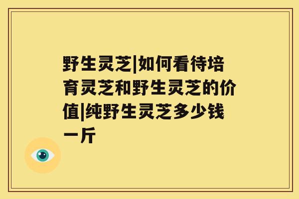 野生灵芝|如何看待培育灵芝和野生灵芝的价值|纯野生灵芝多少钱一斤