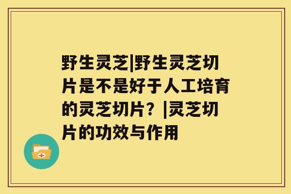 野生灵芝|野生灵芝切片是不是好于人工培育的灵芝切片？|灵芝切片的功效与作用