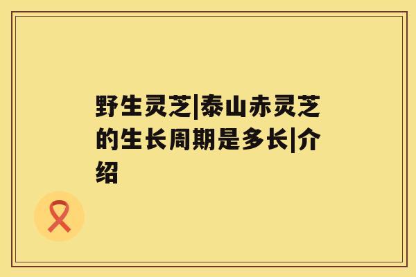 野生灵芝|泰山赤灵芝的生长周期是多长|介绍 野生灵芝|泰山赤灵芝的生长周期是多长|介绍