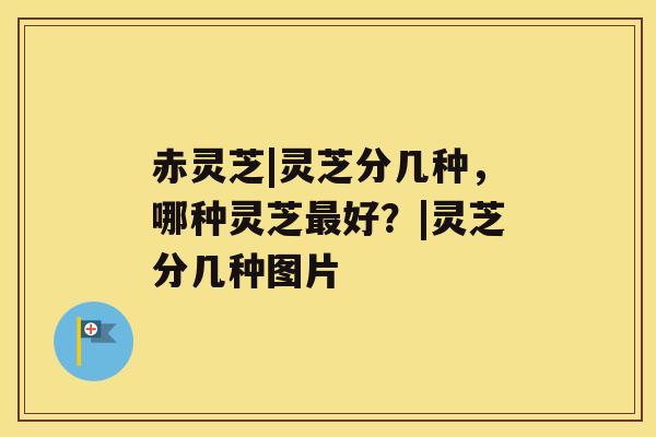 赤灵芝|灵芝分几种，哪种灵芝好？|灵芝分几种图片