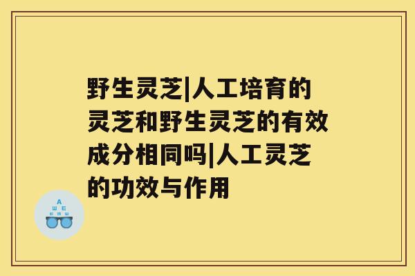 野生灵芝|人工培育的灵芝和野生灵芝的有效成分相同吗|人工灵芝的功效与作用 野生灵芝|人工培育的灵芝和野生灵芝的有效成分相同吗|人工灵芝的功效与作用
