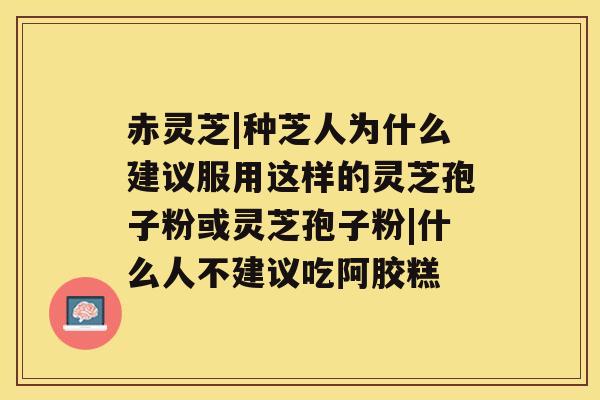 赤灵芝|种芝人为什么建议服用这样的灵芝孢子粉或灵芝孢子粉|什么人不建议吃阿胶糕 赤灵芝|种芝人为什么建议服用这样的灵芝孢子粉或灵芝孢子粉|什么人不建议吃阿胶糕