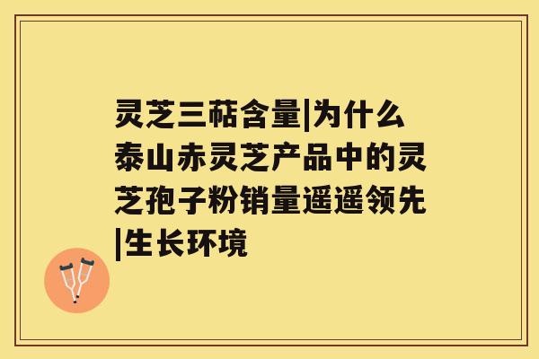 灵芝三萜含量|为什么泰山赤灵芝产品中的灵芝孢子粉销量遥遥领先|生长环境