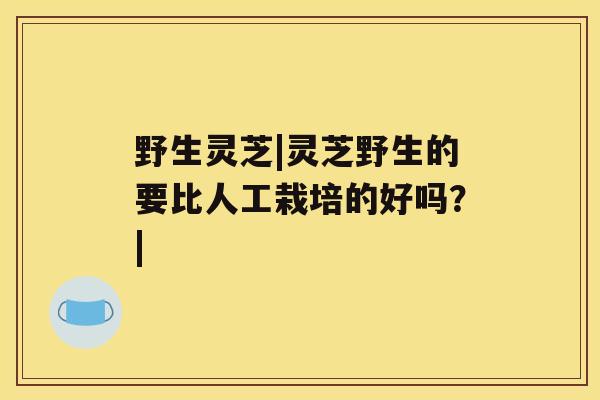 野生灵芝|灵芝野生的要比人工栽培的好吗?| 野生灵芝|灵芝野生的要比人工栽培的好吗?|
