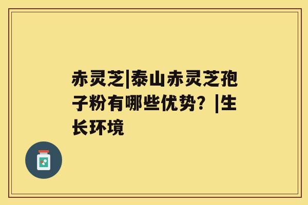 赤灵芝|泰山赤灵芝孢子粉有哪些优势？|生长环境