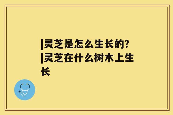 |灵芝是怎么生长的？|灵芝在什么树木上生长