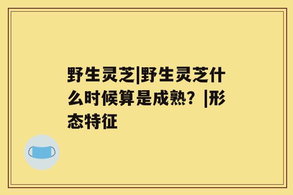 野生灵芝|野生灵芝什么时候算是成熟？|形态特征