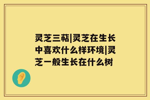 灵芝三萜|灵芝在生长中喜欢什么样环境|灵芝一般生长在什么树 灵芝三萜|灵芝在生长中喜欢什么样环境|灵芝一般生长在什么树