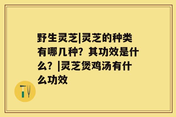 野生灵芝|灵芝的种类有哪几种？其功效是什么？|灵芝煲鸡汤有什么功效