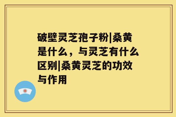 破壁灵芝孢子粉|桑黄是什么，与灵芝有什么区别|桑黄灵芝的功效与作用
