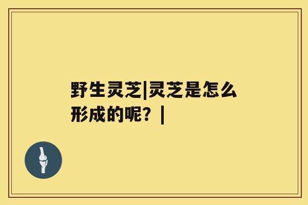 野生灵芝|灵芝是怎么形成的呢？|