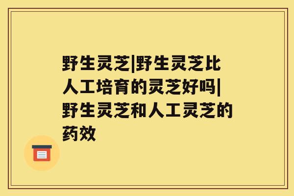 野生灵芝|野生灵芝比人工培育的灵芝好吗|野生灵芝和人工灵芝的药效 野生灵芝|野生灵芝比人工培育的灵芝好吗|野生灵芝和人工灵芝的药效
