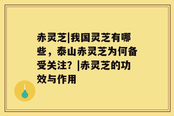 赤灵芝|我国灵芝有哪些，泰山赤灵芝为何备受关注？|赤灵芝的功效与作用