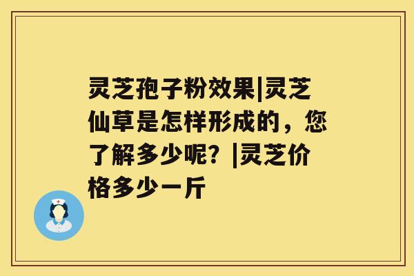 灵芝孢子粉效果|灵芝仙草是怎样形成的，您了解多少呢？|灵芝价格多少一斤