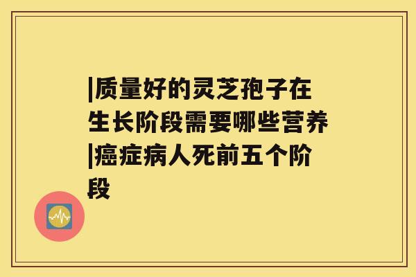 |质量好的灵芝孢子在生长阶段需要哪些营养|症人死前五个阶段