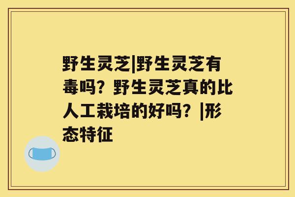 野生灵芝|野生灵芝有毒吗？野生灵芝真的比人工栽培的好吗？|形态特征