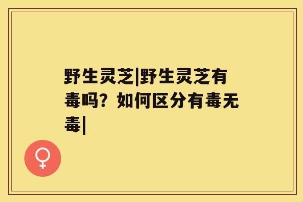 野生灵芝|野生灵芝有毒吗?如何区分有毒无毒| 野生灵芝|野生灵芝有毒吗?如何区分有毒无毒|