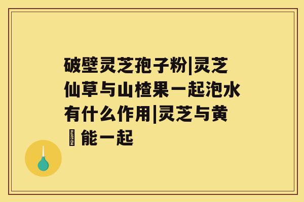 破壁灵芝孢子粉|灵芝仙草与山楂果一起泡水有什么作用|灵芝与黄茋能一起