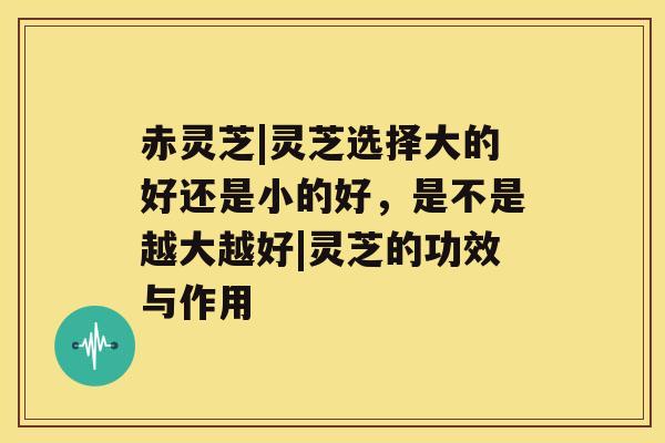 赤灵芝|灵芝选择大的好还是小的好，是不是越大越好|灵芝的功效与作用