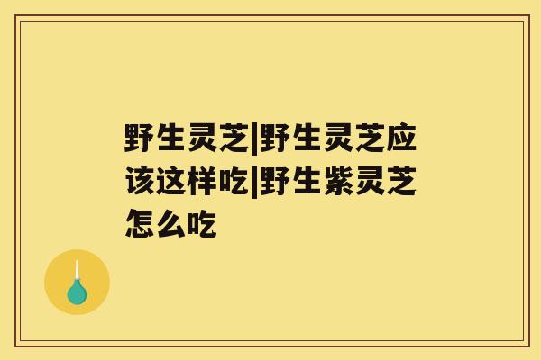 野生灵芝|野生灵芝应该这样吃|野生紫灵芝怎么吃