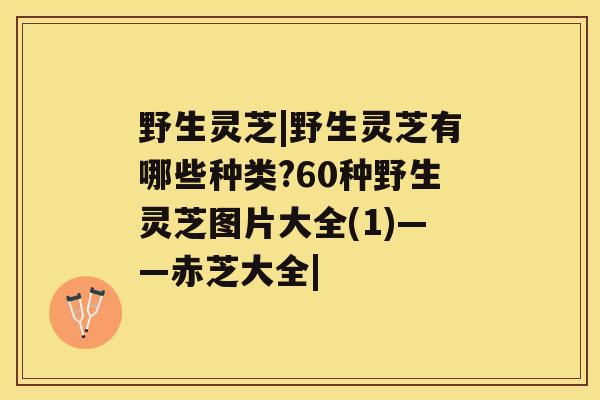 野生灵芝|野生灵芝有哪些种类?60种野生灵芝图片大全(1)——赤芝大全|
