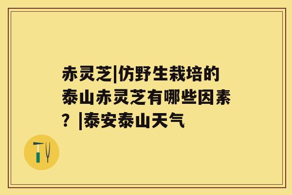 赤灵芝|仿野生栽培的泰山赤灵芝有哪些因素？|泰安泰山天气