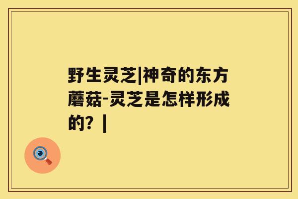 野生灵芝|神奇的东方蘑菇-灵芝是怎样形成的?| 野生灵芝|神奇的东方蘑菇-灵芝是怎样形成的?|
