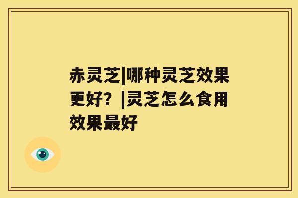 赤灵芝|哪种灵芝效果更好？|灵芝怎么食用效果好