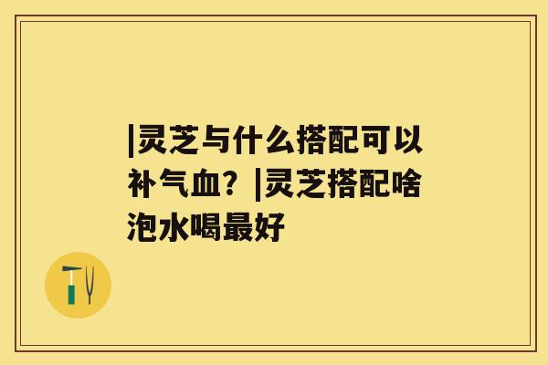 |灵芝与什么搭配可以？|灵芝搭配啥泡水喝好