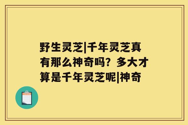 野生灵芝|千年灵芝真有那么神奇吗？多大才算是千年灵芝呢|神奇