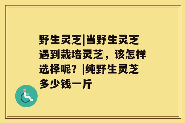 野生灵芝|当野生灵芝遇到栽培灵芝，该怎样选择呢？|纯野生灵芝多少钱一斤