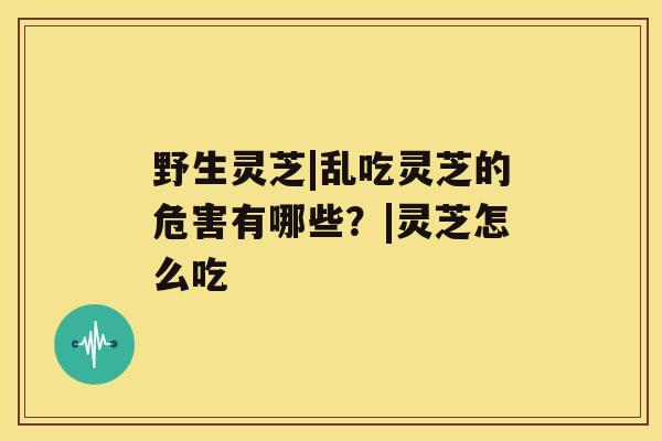 野生灵芝|乱吃灵芝的危害有哪些？|灵芝怎么吃