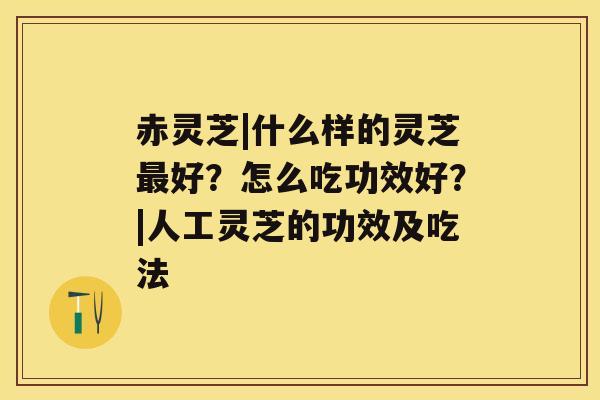 赤灵芝|什么样的灵芝好？怎么吃功效好？|人工灵芝的功效及吃法