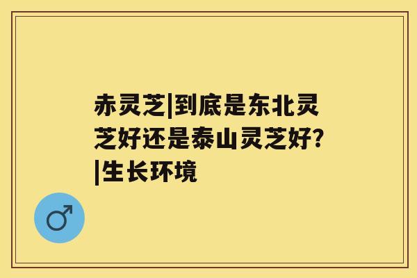 赤灵芝|到底是东北灵芝好还是泰山灵芝好?|生长环境 赤灵芝|到底是东北灵芝好还是泰山灵芝好?|生长环境